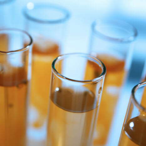 Test tubes filled with liquid